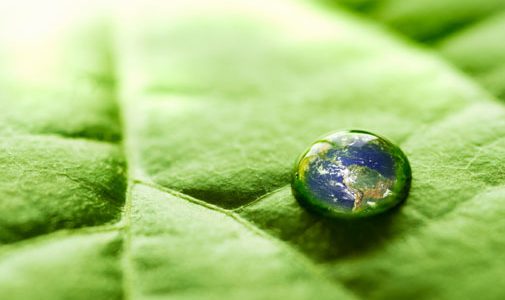 WHY GREENING SOLUTIONS