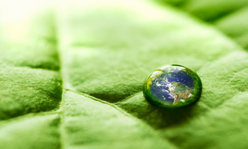 WHY GREENING SOLUTIONS